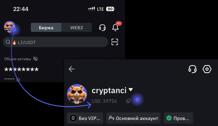 Инструкция по привязке кошелька в Hamster Kombat на примере биржи Bybit