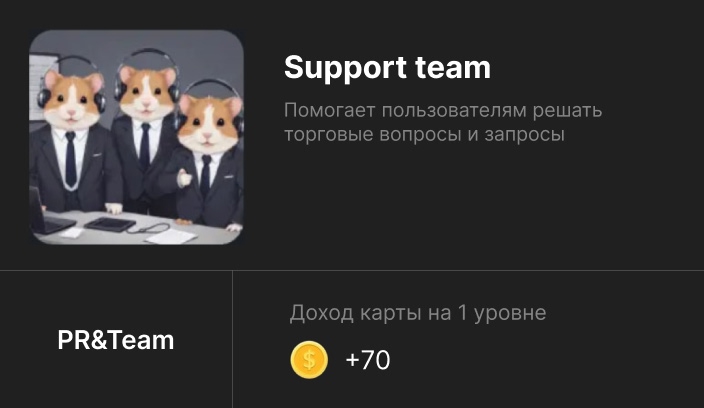 Карта Support Team